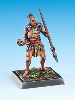 Tohunga Toa