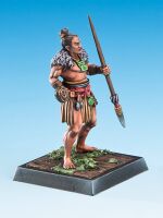 Tohunga Toa