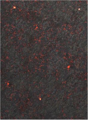 44x60 Double Sided: Hell on Earth And Swamp mit Tragetasche