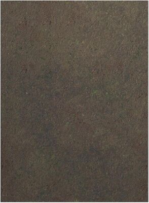 44x60 Double Sided: Hell on Earth And Swamp mit Tragetasche