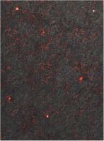 44x60 Double Sided: Hell on Earth And Swamp mit Tragetasche