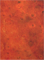 44x60 Mars mit Tragetasche