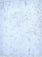 44x60 Winter Realm mit Tragetasche