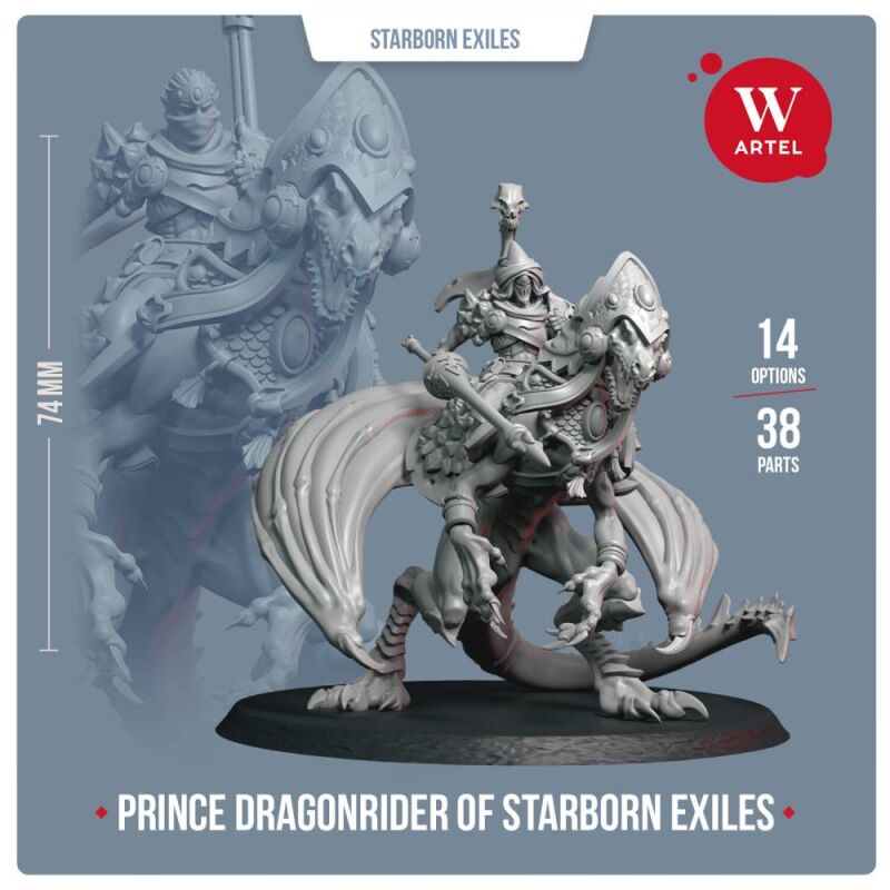 Prince Dragonrider of Starborn Exiles