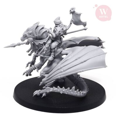 Prince Dragonrider of Starborn Exiles