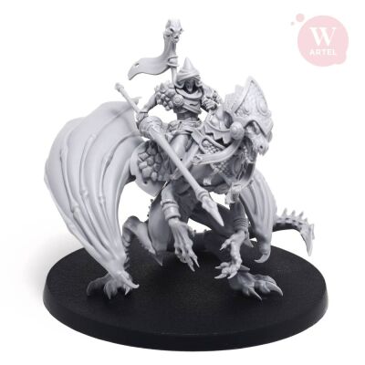 Prince Dragonrider of Starborn Exiles
