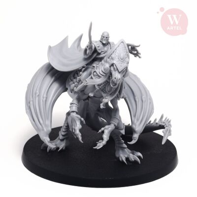 Wayseer Dragonrider of Starborn Exiles