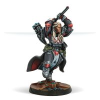 Dire Foes Mission Pack 12: Troubled Theft Mother Healer Agatha Wabara