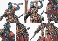 Scion of Conquest Drum Beast Rider