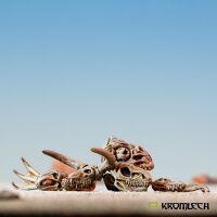 Beast Skulls