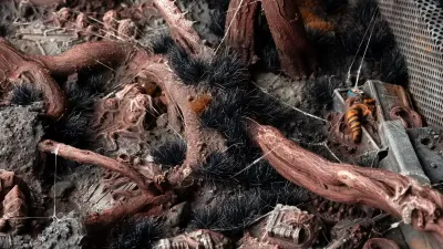 Alien Void Tuft Wild (6mm)