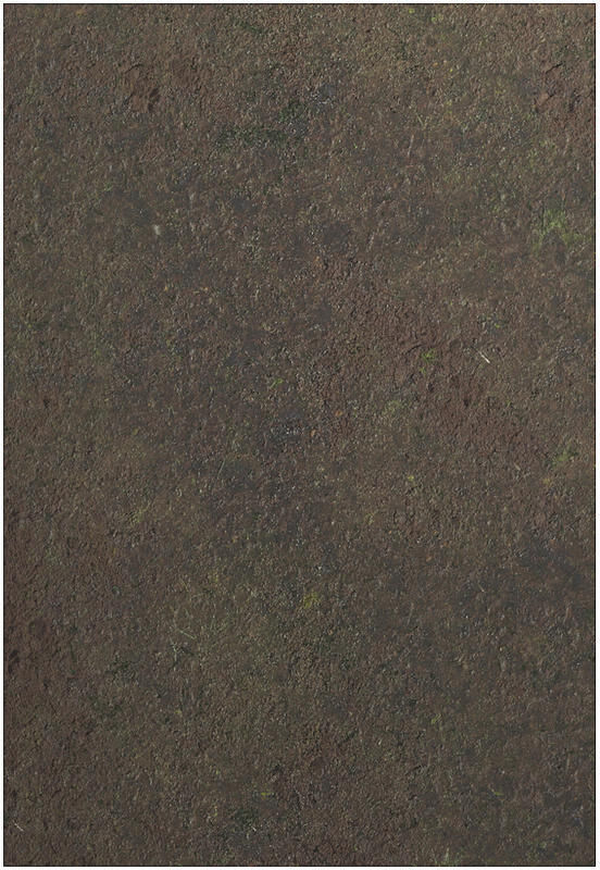 44x30 Swamp mit Tragetasche