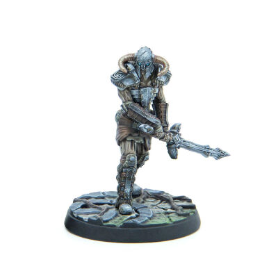 Draugr Scourges
