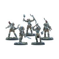 Draugr Scourges
