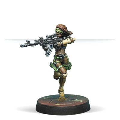 Reinforcements: Haqqislam Pack Beta