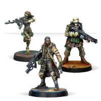 Reinforcements: Haqqislam Pack Beta Inhalt