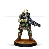 Reinforcements: Haqqislam Pack Beta