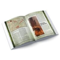 HeXXen 1733: Buch der Regeln 2 - Ausbauregeln und Bestiarium