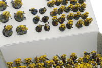 Full-size XL Box mit zwei Magnetplatten f&uuml;r magnetisierte Miniaturen