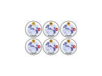 N4 Infinity Tokens Mindgames (6)