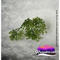 Kraut for Trees (400ml)