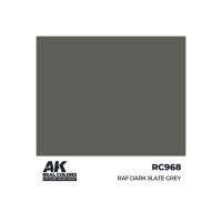 Real Colors RAF Dark Slate Grey (17ml)