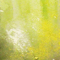 73.823 Environment Slimy Grime Light (40ml)