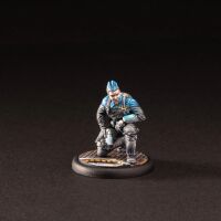 Komplex Starter Box