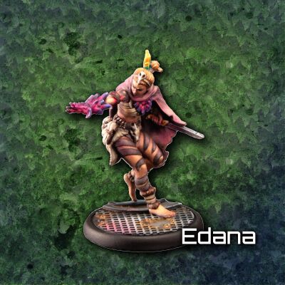 An Dan Starter Box Edana
