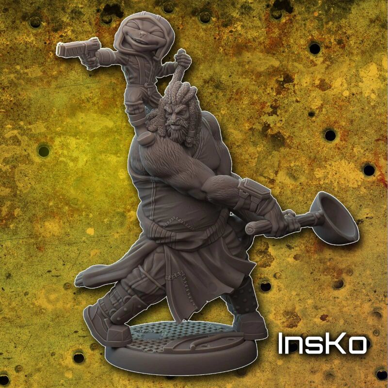 Ins-Ko Front