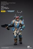 Warhammer 40k Actionfigur 1/18 Astra Militarum Tempestus Scions Command Squad 55th Kappic Eagles Vox Operator 12 cm