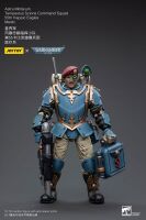 Warhammer 40k Actionfigur 1/18 Astra Militarum Tempestus Scions Command Squad 55th Kappic Eagles Medic 12 cm