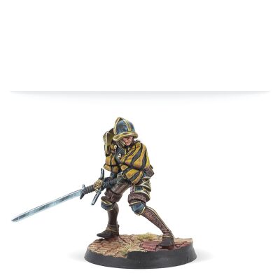 Hegemony Aggressors