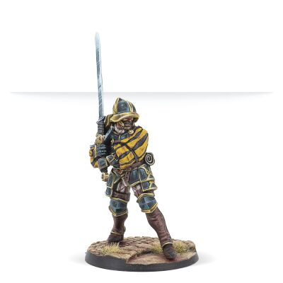 Hegemony Aggressors