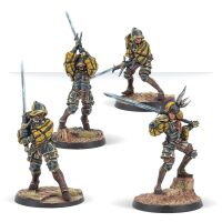 Hegemony Aggressors