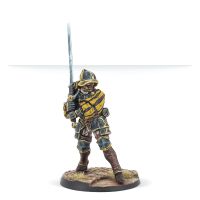Hegemony Aggressors