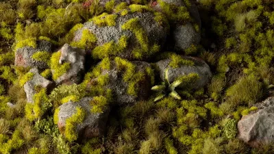 Moss (2mm)