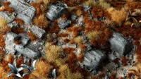 Brown (2mm)