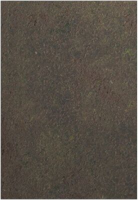 44x30 Double sided: Hell on Earth and Swamp mit Tragetasche