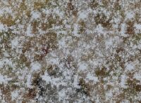 44x60 Snowy Defiled Monastery mit Tragetasche