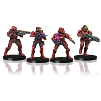 Halo Flashpoint Fireteam Hydra