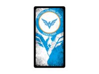 Infinity Command Panel Kestrel