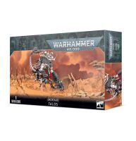 Fraktionsstarter-Bundle: Raubschwarm von Commorragh