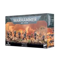 Fraktionsstarter-Bundle: Raubschwarm von Commorragh