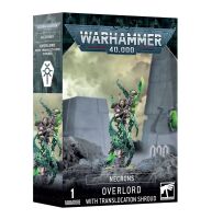 Fraktionsstarter-Bundle: Phalanx der Vergessenen