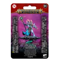 Fraktionsstarter-Bundle: Wandelkinder des Tzeentch