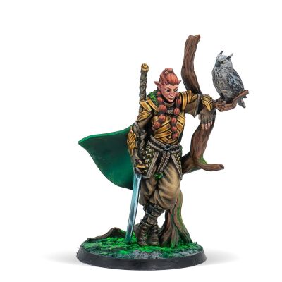S&yuml;ena Wardens Inhalt