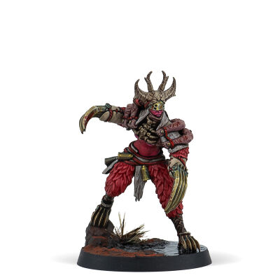 Warcrow Battle Pack The Song of the Dormant (Englisch)