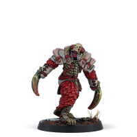 Warcrow Battle Pack The Song of the Dormant (Englisch)