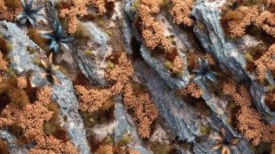 Autumn Shrubs Inhalt